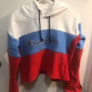 Champion Crop Top Hoodie